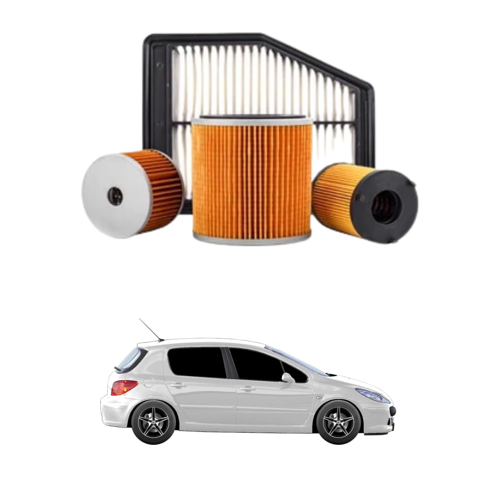 Kit Tagliando 4 Filtri AOQ Per Citroen C3 I, C3 Picasso, C4 I E Peugeot 206-307-308 1.4/1.6 HDI 16v