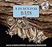 A Place for Bats