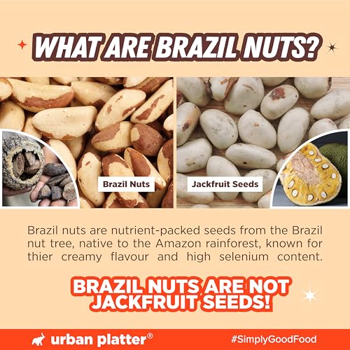 Image of Urban Platter Brazil Nuts, 500g (Rich in Selenium | Superfood | Have 1 Daily | Product of Peru)