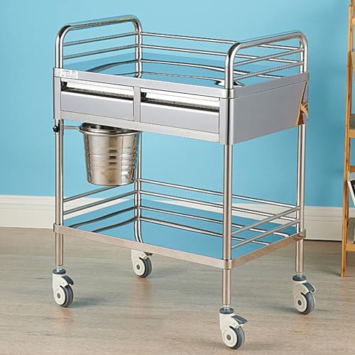 BREZO 2 Layers Medical Cart, Stainless Steel Cart, Lab Utility Cart with 360 Silent Wheels and a Drawer for Lab, for Lab, Clinic, Kitchen, Salon (Color : Double Drawer)