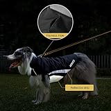 Buddypuppy Hundemantel Winter, Regenmantel Hund Wasserdicht, Fleece Hundejacke für Mittel Grosse Hund mit Geschirrloch & Reflexstreifen