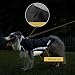 Buddypuppy Hundemantel Winter, Regenmantel Hund Wasserdicht, Fleece Hundejacke für Mittel Grosse Hund mit Geschirrloch & Reflexstreifen