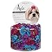 Aria Sunday Rose Bows for Dogs, 48-Piece Canisters