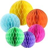 Sopeace 12 PCS 6 Colors 10 Inch, 6 Inch Honeycomb Tissue Paper Flower Balls, Tissue Paper Pom-poms F