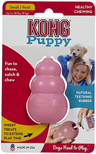 Kong Welpe, klein