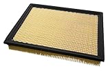 Champion CAP7440 Engine Air Filter