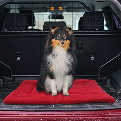Downtown Pet Supply - Dog Crate Mat - Comfort Dog Bed Or Cat Bed - Soft Fleece Nap Mat - Easy Maintenance, Machine Washable Dog Bed - Fiesta - 29 In X 20 In - Medium Dog Bed #TOP5