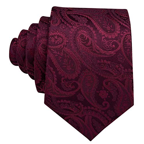 Image of Barry.Wang Men Ties Paisley Woven Silk Necktie Set with Pocket Suqare Cufflinks Formal