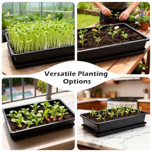 RooTrimmer 5 Pack Soil Blocking Trays(14"x12"x3"), Plastic Flat Plant Tray for Holding or Collecting Drainage Water, Elevated Microgreen Seed Starter Tray for Seed Germination (Black) by RooTrimmer - Image 8