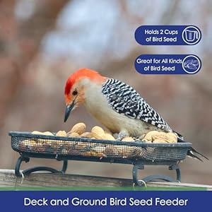 Wildlifeandbirdfeederdeckandgroundtrayfeederforbirdssquirrelschipmunksandrabbits Urban Country Home Decor Wildlife and bird feeder deck and ground tray feeder for birds squirrels chipmunks and rabbits urban country home decor