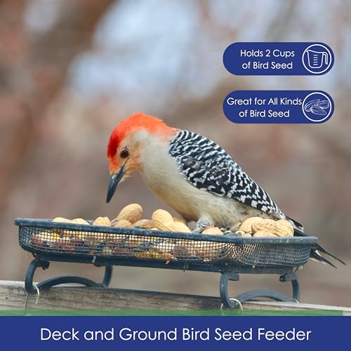Wildlifeandbirdfeederdeckandgroundtrayfeederforbirdssquirrelschipmunksandrabbits Urban Country Home Decor Wildlife and bird feeder deck and ground tray feeder for birds squirrels chipmunks and rabbits urban country home decor