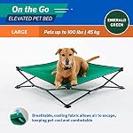 Coolaroo On The Go Elevated Pet Bed, Large, Emerald Green