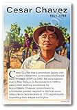 Cesar Chavez - Labor Activist - Biography Poster 18 x 12 inch
