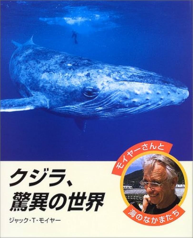 クジラの髭 約200cm 1967年 アラスカ 最重記録更新⁉ 昔の地球には体重375トンのいきものがいた