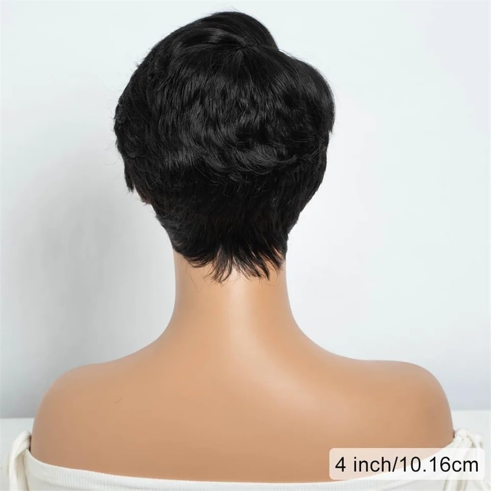 Perücken mit ordentlichem Pony für Frauen Gerade Pixie Cut Perücke Echthaar Perücken 13x6x1 Transparent Lace Front Kurze Perücke wellig lockig(Bruin)