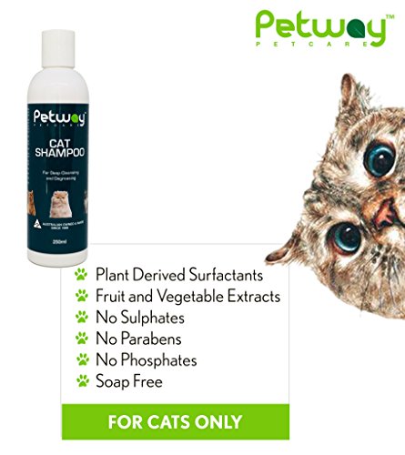Petway Petcare Cat Shampoo, Anti Dandruff Shampoo For Deep Cleanse & Degreasing, Removes Excess Oils, Dirt And Dandruff, Ph Balanced, Parabens & Sulfates Free, Cruelty Free, For Use On Cats, 250Ml #TOP3