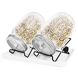 【Kit educativo de germinación See】: el frasco actúa como un invernadero en miniatura que lleva los brotes rápidamente. A los niños les encanta verlos crecer todos los días. ¡Sería una clase de naturaleza en casa!