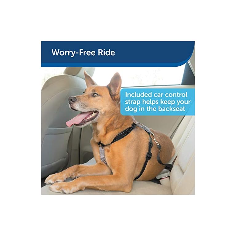 PetSafe 3 in 1 Dog Harness Buy Online