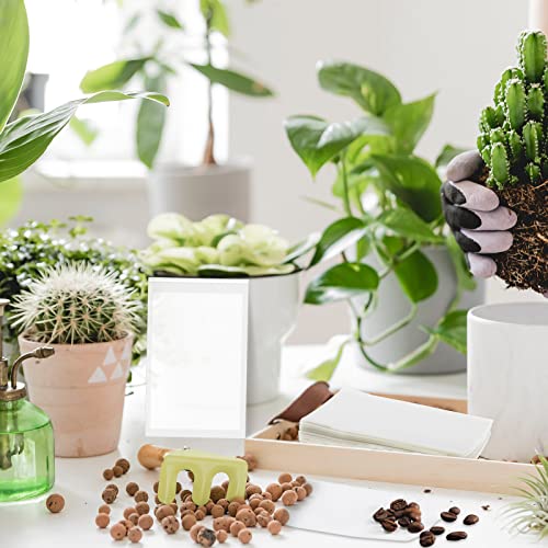 100 Pcs Seed Saving Envelopes Resealable, 2.6 X 3.5 Inch Small Self Adhesive Seed Packets Envelopes, Translucent Seed Storage Paper Bags Bulk For Flower Vegetable Seeds Small Items Storage #TOP4