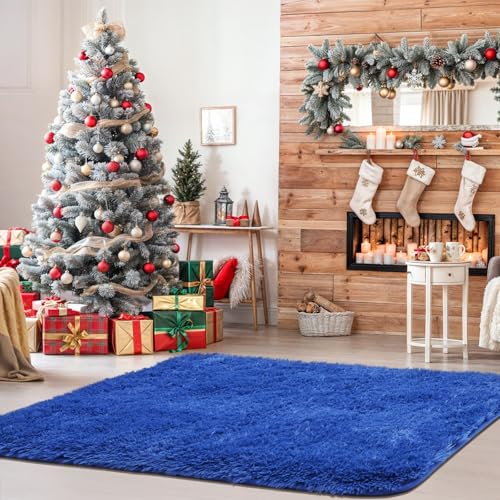 Small Bedside Rug, 2x3 Non Slip Fluffy Shaggy Entryway Throw Rugs for Bedroom Living Room, Indoor Floor Carpet for Kids Girls and Boys, Nursery Rooms Mat, Home Decor Aesthetic, Blue