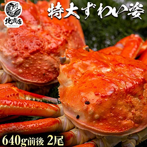 本ズワイガニ(姿)約640g前後×2尾 プレミアム級ズワイガニを堪能 カニ 冷凍! ロシア産 北海道加工 ボイル 冷凍 かに カニ 蟹 カニ味噌 お取り寄せ 海鮮 お土産 北海道かに