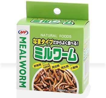 5198guQAcKL._AC_UF350,