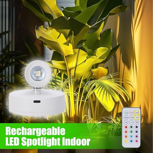 Foco LED interior recargable para resaltar arte y plantas con mando a distancia 4