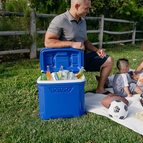 Image of Igloo Hard Cooler | Profile Series | Insulated Ice Chests