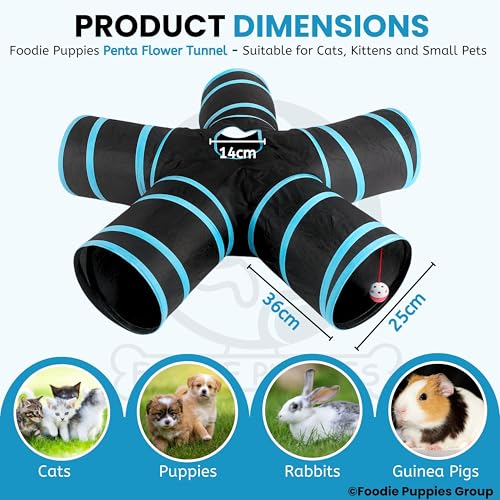 Image of Foodie Puppies Interactive Foldable Hiding 5-Way Straight Tunnel with Hanging Ball for Cats (Penta Flower Tunnel) | Puzzle & Training Cave Suitable for Cat, Kitten, Rabbit, Guinea Pig & Puppies