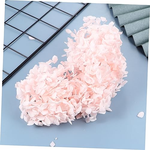 Pétalos secos naturales de hortensia para decoración miniatura 4
