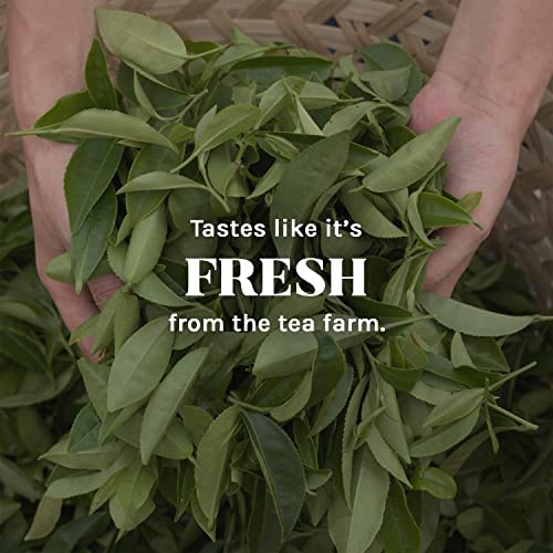 Té verde orgánico descafeinado Pack de 4 saquitos miniatura 5