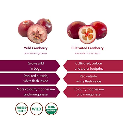 Organic Freeze-Dried Cranberry Powder – Pure, 100% Natural Wild Whole Fruit, Certified Organic from Nordic Forests – Non-GMO, No Added Sugar – 3.2oz (18 Servings)