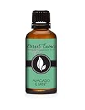 Avocado Mint 30ml Premium Fragrance Oil - for Candle, Soap Making, Aromatherapy, Diffusers, Home Care, & Humidifiers