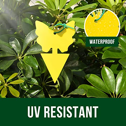 Garsum Gant Traps For Indoors,Fruit Fly Bugs Trap, Yellow Sticky Fungus Knit Killer For Houseplant,Mosquito, Flying Insert, White Flies,18 Pack #TOP4