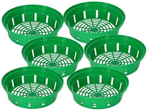 KOTARBAU® Set 6 pièces Panier À Bulbes - ⌀ 260 mm - Vert - Corbeille Plantation Tulipes - Accessoire Plantation Bulbes - Plastique