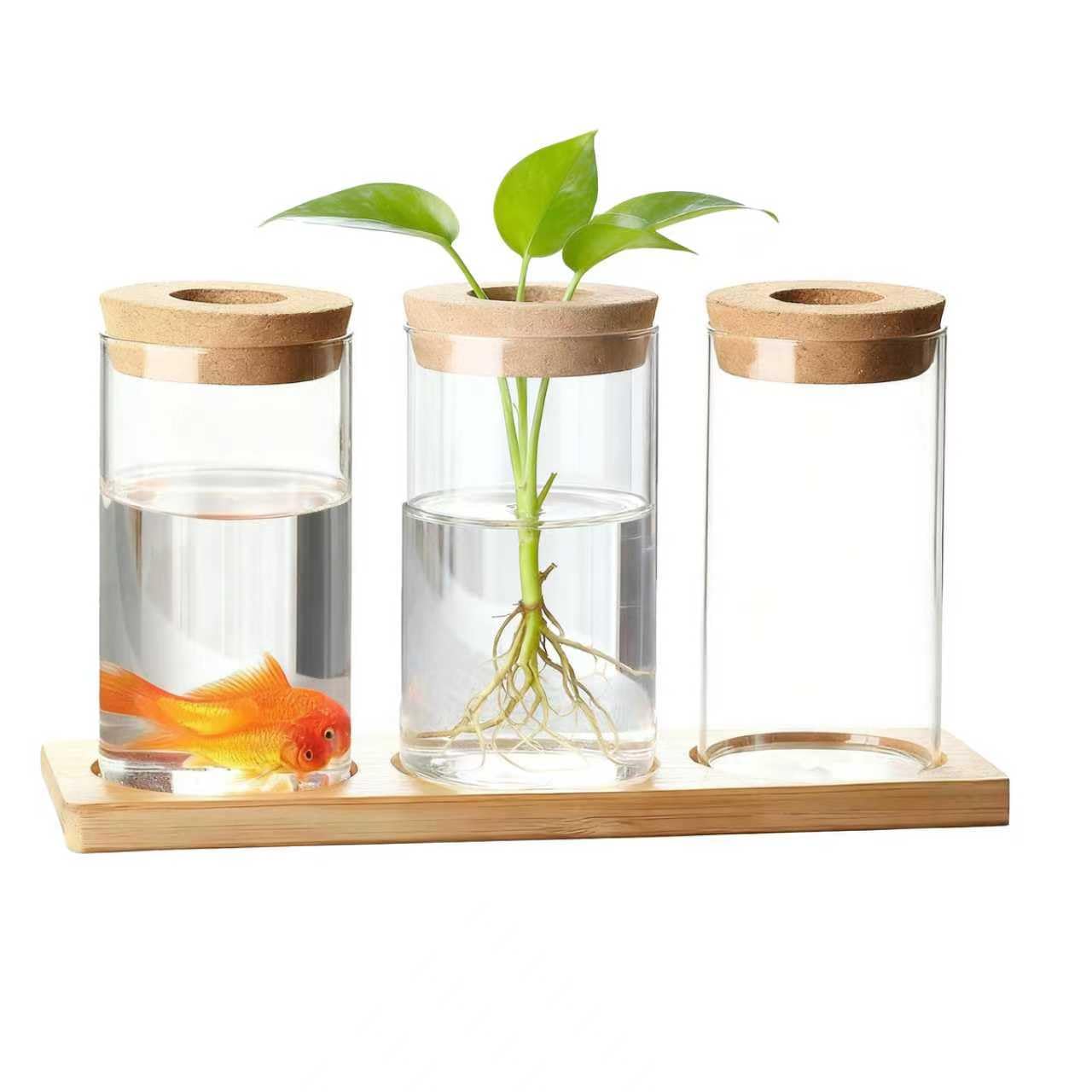Yumzxin Plant Propagation Station, 3 Pcs Glass Terrarium with Wooden Stand & Lid, Hydroponic Water Planter Vase for Desktop Office Home Decor
