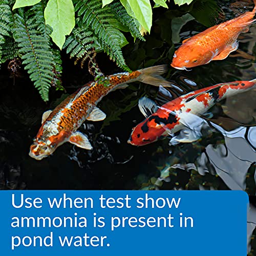 Api Pond Ammo-Lock Ammonia Detoxifier For Pond Water 64-Ounce Bottle #TOP1