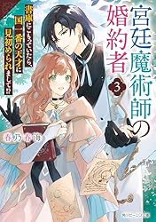 Amazon.co.jp: 宮廷魔術師の婚約者 書庫にこもっていたら、国一