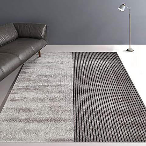 JHBW Soft Carpet Nylon Easy-to-clean Carpet Cover