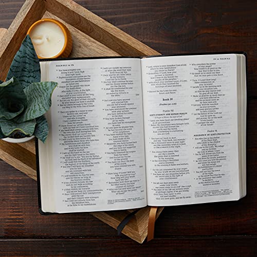 Nrsv, Catholic Bible, Thinline Edition, Genuine Leather, Brown, Comfort Print: Holy Bible