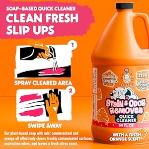 Calyptuspetstainandodorremoverorangeandenzymecleanerduosolutionforpets128oz64ozx2bottlescarpetcleanerandodoreliminatorforcaturinedogpeeandpoopprostrength  Urban Country Home Decor Calyptus pet stain and odor remover orange and enzyme cleaner duo solution for pets 128oz 64oz x 2 bottles carpet cleaner and odor eliminator for cat urine dog pee and poop pro strength  urban country home decor