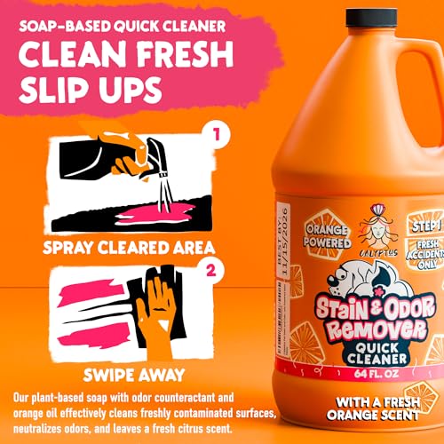 Calyptuspetstainandodorremoverorangeandenzymecleanerduosolutionforpets128oz64ozx2bottlescarpetcleanerandodoreliminatorforcaturinedogpeeandpoopprostrength  Urban Country Home Decor Calyptus pet stain and odor remover orange and enzyme cleaner duo solution for pets 128oz 64oz x 2 bottles carpet cleaner and odor eliminator for cat urine dog pee and poop pro strength  urban country home decor