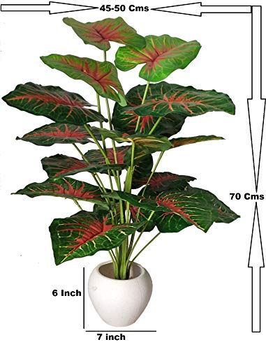 Image of Big Areca Palm Money Plant Tree with 18 Long Leaves Bonsai Artificial Plant with Pot (70 cm, Red, 1 Piece)