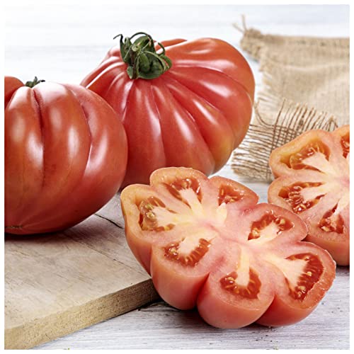 Semillas de Tomate Corazón de Buey para Huerto Urbano Semillas Fáciles de Germinar