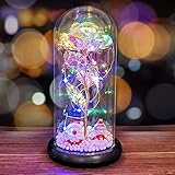 Fam Mitglie Galaxy Rose Flower Gift for Girlfriend, Artificial Flowers Glass Rose Gifts for Women/Mom, Beauty and Beast Rose in Glass Dome with Led Light String for Christmas Valentine's Day Gift