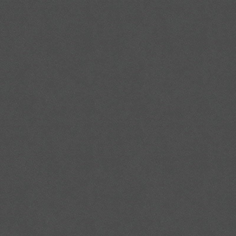 R&E Paint Supply Compatible with Mitsubishi A39, Graphite Gray Pearl Automotive Paint, 8oz