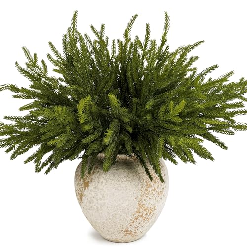 HomeKaren Norfolk Pine Stems