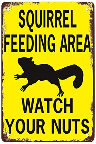 Retro Funny Metal Sign Sheet Signs Tin Sign,Squirrel Feeding Area Watch Your Nuts,Outdoor Home Wall Decoration,Size：8x12inch