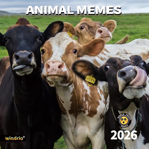 Kalendarz ścienny 2024 2025, kalendarz 2025, listopad 2024 - grudzień 2025, kalendarz ścienny memy zwierzęce, 30,5 cm x 61 cm otwarty, gruby i wytrzymały papier na prezent dla dzieci nastolatek