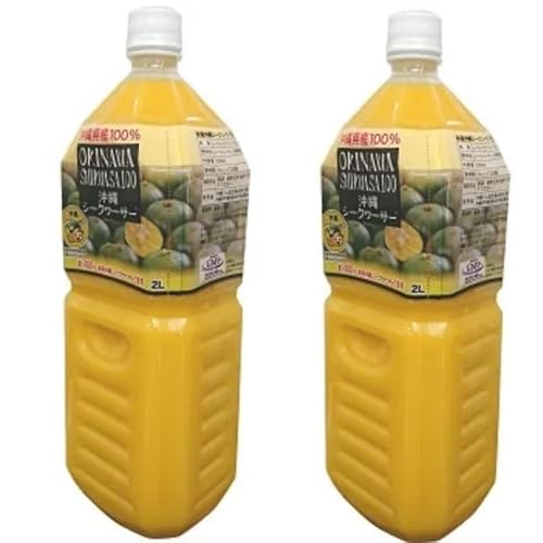  n ILiV[N[T[100% ybg 2L V[N[T[ W[X  eƌN (2{, V[N[T[)